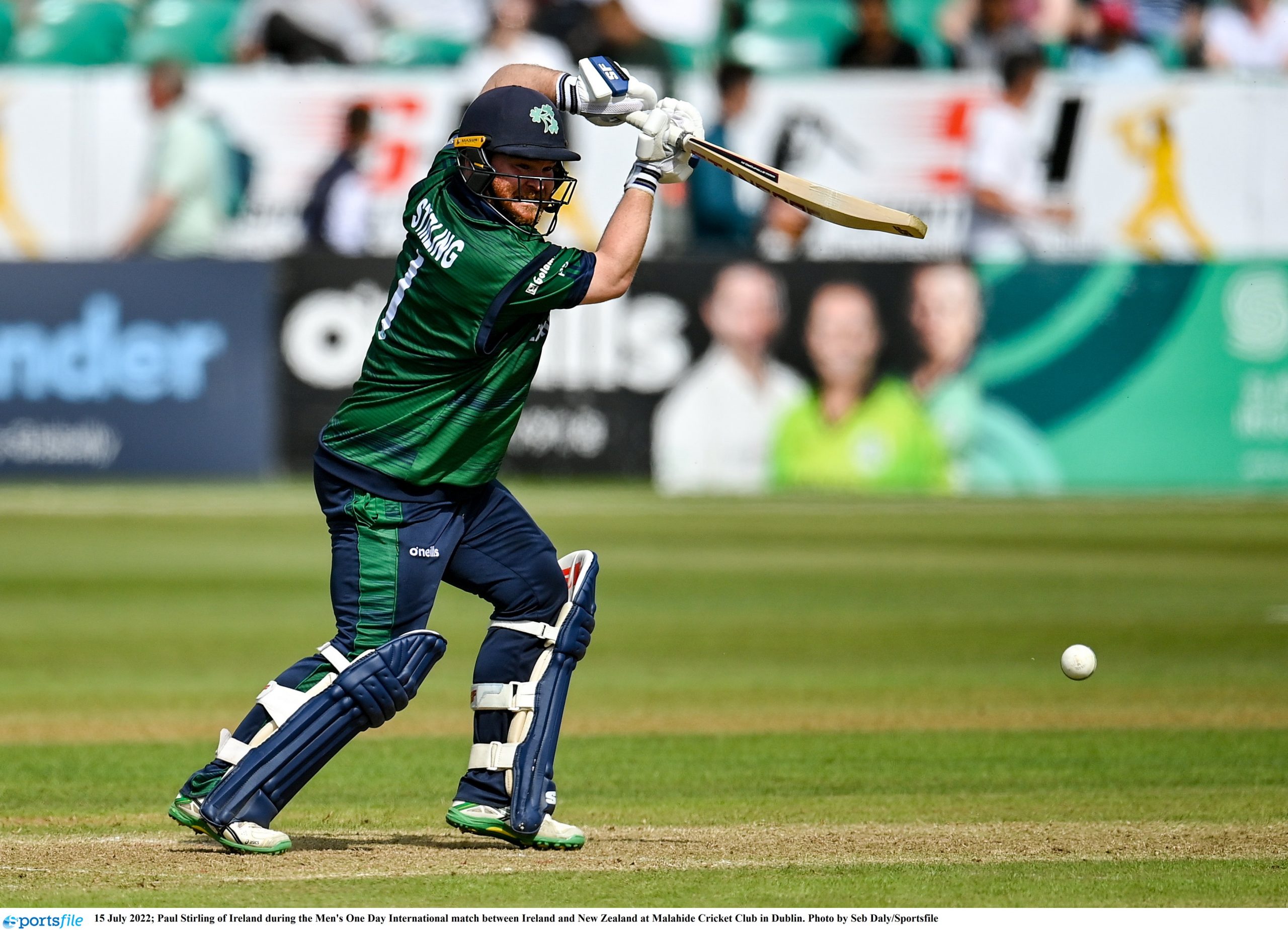Stirling, Tector nearly take Ireland to victory over New Zealand